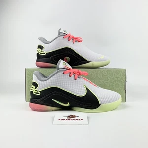 Nike LeBron 22 Crown Jewel EU 43/44/44,5/45 Men Basketball Shoes FZ1094-101 NEW - Imagen 1 de 11