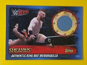 Sheamus WWE Topps Slam Attax 10th Edition Relic Wrestling Sports Trading Card - Picture 1 of 1