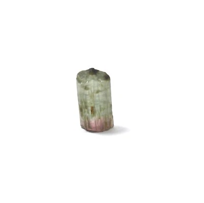 7 Ct Natural Smooth Watermelon Bi-Color Tourmaline Pencil Rough - Image 1 of 4