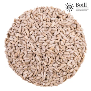Boill Sonnenblumenkerne geschält - 10 kg. Vogelfutter direkt vom Hersteller - Bild 1 von 1