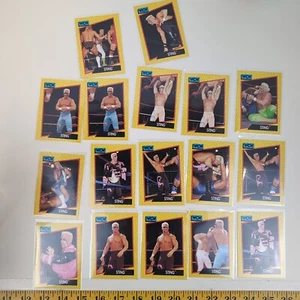 WCW Sting Trading Card World Championship Wrestling 1991 Wrestler Set - Picture 1 of 7