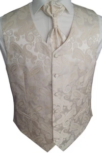 Chaleco de boda con plastrón, 4 piezas, en beige, modelo n.º: 25.1 talla 44 - 114 - Imagen 1 de 6
