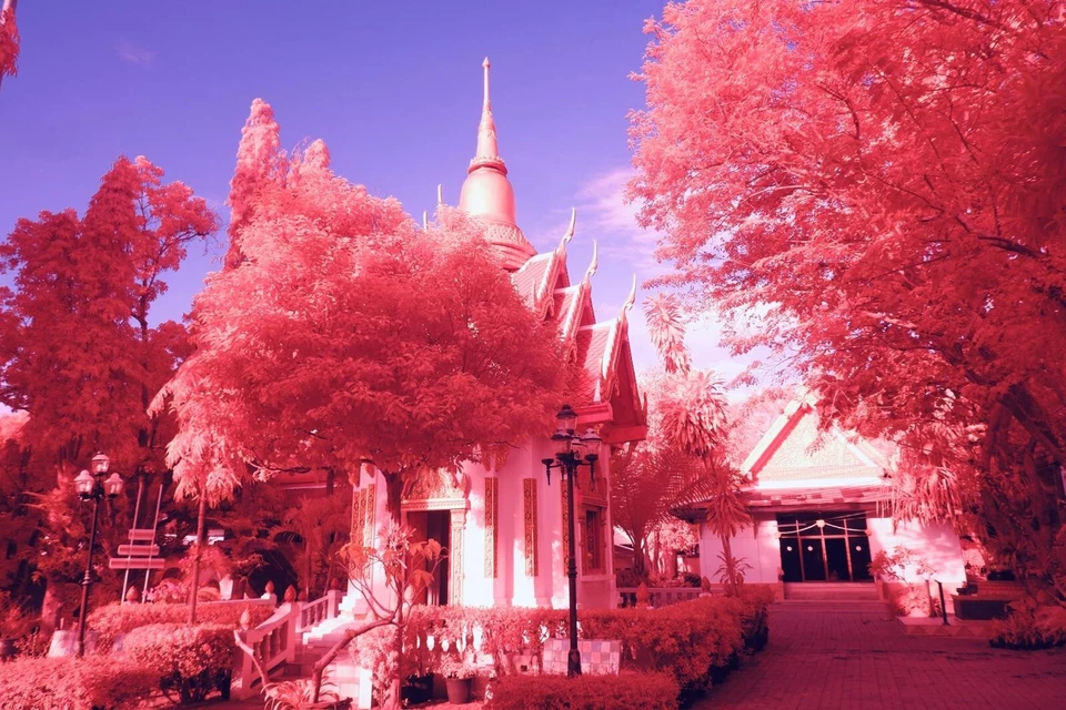 IRchrome  / Aerochrome Infrared filter 67mm IR filter  ** See Video ** UK Seller - Image 1 of 4