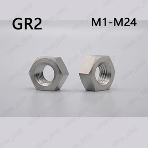 Titanium GR2 Hexagon Nut Hex Nuts M1 M1.4 M1.6 M2 M3 M4 M5 M6 M8 M10 M12 M16-M24 - Picture 1 of 4