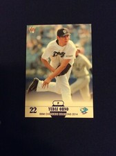 2014 BBM Dragons #D11 Yudai Ohno