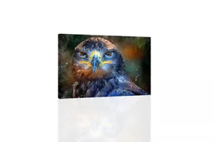 Falcon - CANVAS or PRINT WALL ART - Picture 1 of 2