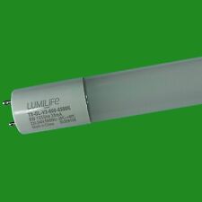 8W (=18W) T8 G13 6500K Daylight White 600mm 2ft LED Tube Strip Light & Starter