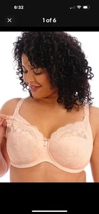 Elomi Neu mit Etikett 38G USA Molly Still-BH Bügel 4542 Cameo Rose - Bild 1 von 15