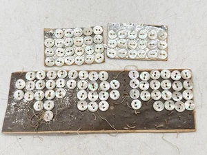 VINTAGE MOTHER OF PEARL SEWING BUTTONS ON ORIGINAL CARD SMALL BUTTONS - Picture 1 of 6
