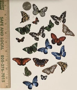 Realistic Small Butterfly Butterflies Fabric Appliques No Sew Iron Ons Magnolia - Picture 1 of 6