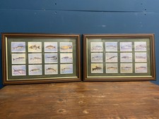 Vintage Framed Set Of John Player & Sons Fresh Water Fish Cigarette Cards
