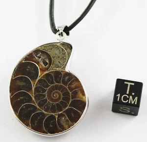 Collier avec 1/2 Ammonite de Madagascar sciée et polie (015**) - Imagen 1 de 9