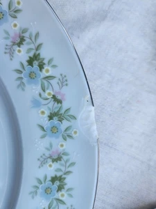 Retired Johann Haviland Forever Spring 20 Pc Set Floral Pattern Bavaria Germany - Picture 1 of 8