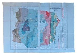 Geologische Karte der platinhaltigen Region Nischne Tagil im Ural. - Bild 1 von 9