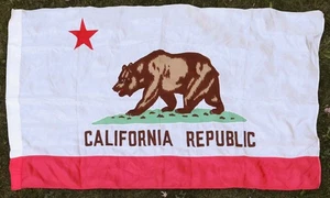 Vintage Paramount Co Union Made California Republic Bear Silk Nylon Flag 60" - Picture 1 of 8