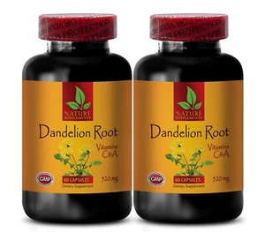 immune system vitamins for men - DANDELION ROOT - dandelion supplement pills 2B - Picture 1 of 9