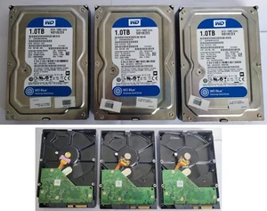 3 * HD Western Digital Blue 1 To, Interne, 7200 RPM, 3.5'' WD10EZEX - Lot 1 - Photo 1/4