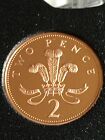 1992 PROOF TWO PENCE PIECE 2P COIN ????