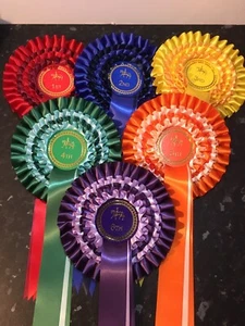 Rosetas grandes para exhibición de caballos de 4 niveles 1o-4o o 1o-6o, satén de una sola cara de calidad - Imagen 1 de 2