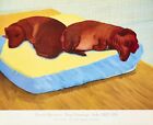 David Hockney Dog 38 1995 Vintage Contemporary 'Dog Paintings' Exhib. Poster New