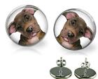 Cute Puppy Dog Glass Top Stud Earrings Handcrafted Girls Earrings