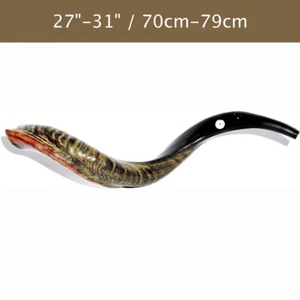 Auténtico Shofar Yemenita Talla 27""-31"" / 70 cm - 79 cm - Imagen 1 de 1