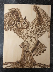 Owl, pyroghrapy art - Picture 1 of 3