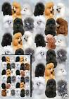 Poodle Dog Gift Wrapping Paper By Starprint - One Sheet plus matching gift card