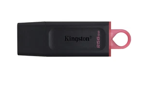 Kingston DataTraveler Exodia Flash Drive USB 3.2 Gen 1, DTX/256GB with Keyring - Bild 1 von 10