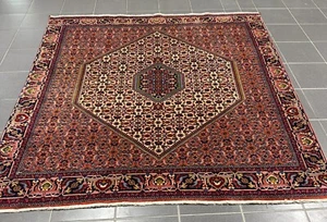 perserteppich handgeknüpft Bidjar 185 x 190 cm ( frisch gewaschen ) - Bild 1 von 9