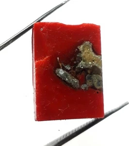 32 Crt natürliche rote italienische Korallenplatte grober loser Edelstein - Bild 1 von 1