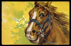 cartolina d'epoca-post card-animali CAVALLO-HORSE - Imagen 1 de 1