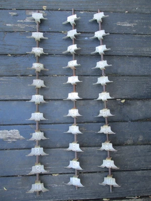 Marcadores de galón de bomba de gas visible de diez galones - necesitan trabajo Foto 1 de 4