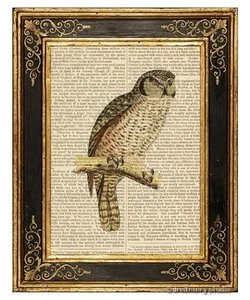 Owl #3 Art Print on Vintage Book Page Birds Home Office Wall Hanging Decor Gifts - Picture 1 of 3