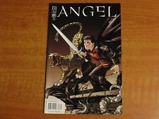 IDW Comics:  ANGEL #18  February 2009   Cover A  'After The Fall'