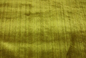TELA DE LINO TAPICERÍA TERCIOPELO STRIE VERDE LIQUEN CLAREMONT SIBTON POR YARDA 51"W - Imagen 1 de 4