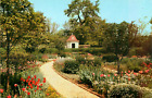 The Flower Garden At Mount Vernon Vintage Unposted Nos Postcard