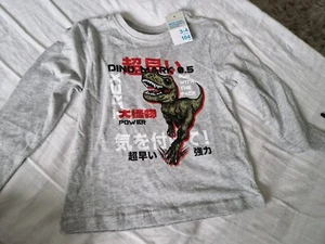 Kids grey dinosaur tshirt top 3-4 years Long Sleeve Boys Dino Print Top Tee - Picture 1 of 3