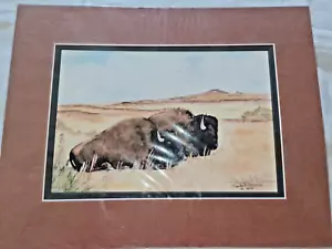 Stampa acquerello Buffalo & Buttes Pamela L marrone 11 x 14" 27 di 75 - Foto 1 di 8