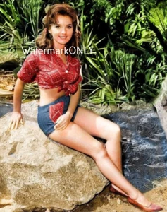 Actriz "Dawn Wells" "Gilligan's Island Mary Ann" LEGGY "Pin-UP" FOTO! #(10) - Imagen 1 de 2