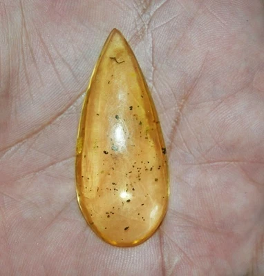 25.55 Cts. Natural Genuine Old Baltic Amber Untreated Certified Gemstone - Image 1 of 4