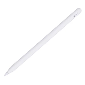 Apple Pencil 2 Generation Eingabestift für iPad weiß Gebrauchtware akzeptabel - Afbeelding 1 van 1