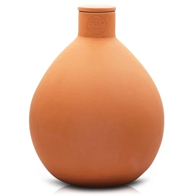 Olla de riego clásica con tapa - riego automático de terracota hasta... Foto 1 de 4