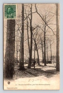 Trois Rivieres Canada Sucrerie Canadienne, Maple Syruping Postcard 1914