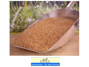 4,70€/kg 1kg Gelbsenf Samen Senf Saatgut Weißer Senf Sinapis alba L. - Bild 1 von 1