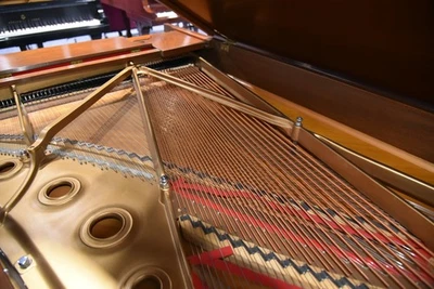 Steinway & Sons B 1980 Clásico Años 80 Tono Acabado Nogal #671 Leer lo que está incluido Foto 1 de 4