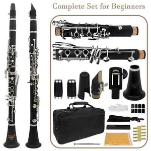 Bb Clarinet 17 Keys Bakelite Wooden Clarinette Black Grenadilla Professional  - Picture 1 of 18