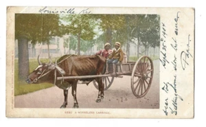 Postcard Southern Horseless Carriage Ox Cart Down in Dixie Louisville Humor - Picture 1 of 2