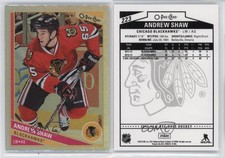 2013-14 O-Pee-Chee Rainbow Foil Andrew Shaw #223