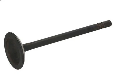 Válvula de escape DNJ EV1105 DODGE NITRO 3.7 2007-2012 Foto 1 de 4